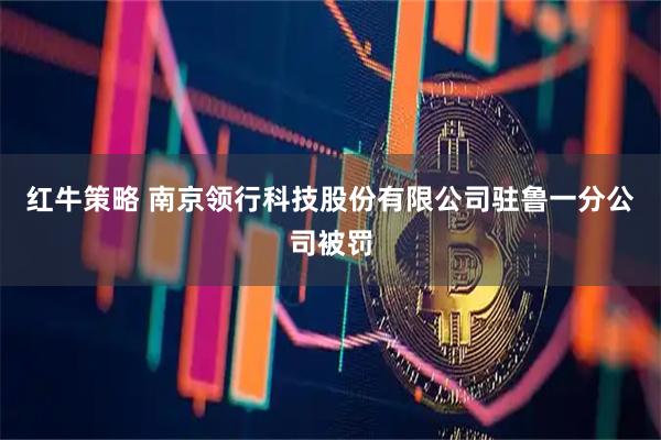 红牛策略 南京领行科技股份有限公司驻鲁一分公司被罚