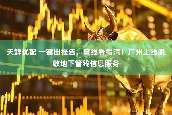 天鲜优配 一键出报告，管线看得清！广州上线脱敏地下管线信息服务