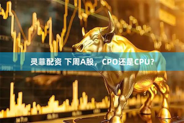 灵菲配资 下周A股，CPO还是CPU？